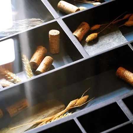 Winzerhaus Am Kardinalsberg